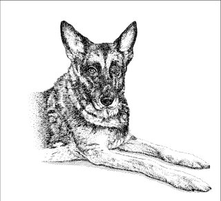 Arte del retrato del perro
