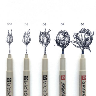 Bolígrafos con las etapas de la vida de una rosa desde el capullo hasta la floración.