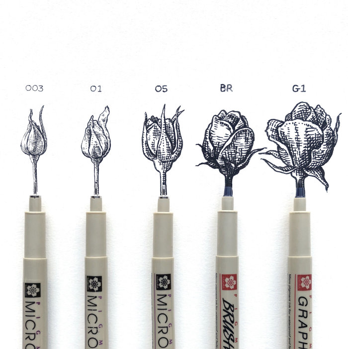 つぼみから花までバラのライフステージが描かれたペン