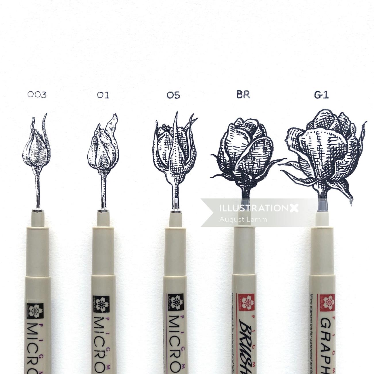 Pens with the life stages of a rose from bud to blossom