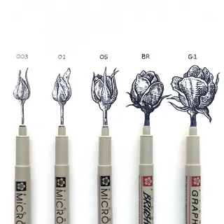 Pens with the life stages of a rose from bud to blossom