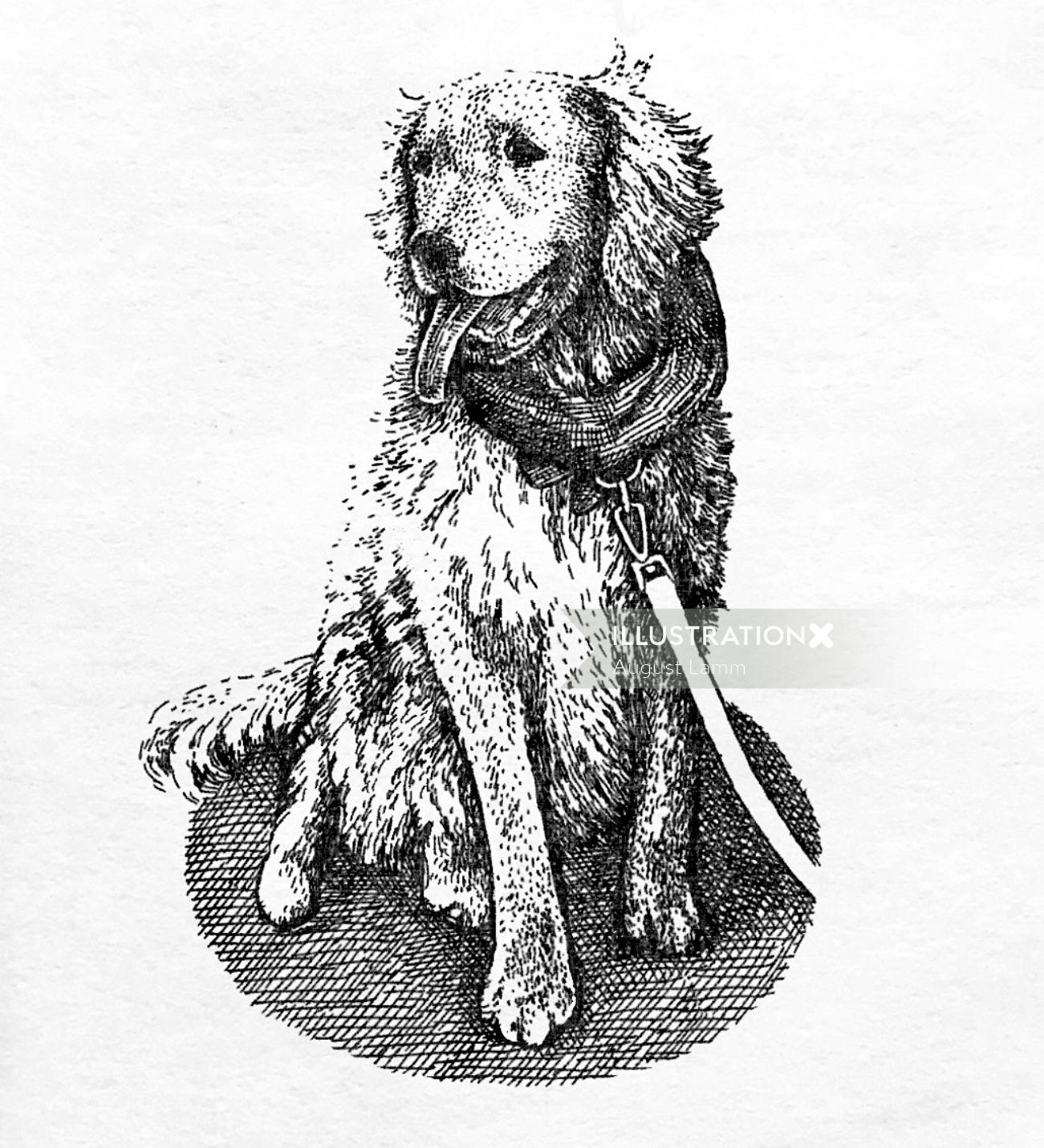 Black and white sketch of dog