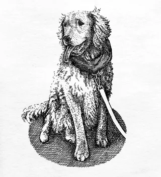 Black and white sketch of dog