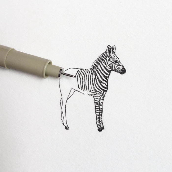 desenho a lápis de zebra