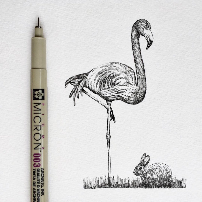 大白鹭鸟铅笔图稿