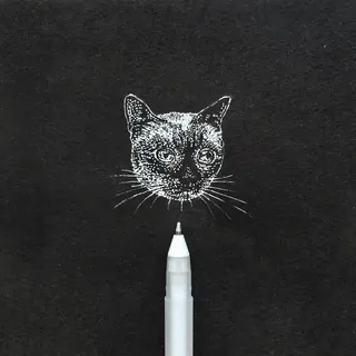 Intricate cat head drawing with white ink by August Lamm