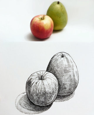 Arte lineal de frutas. 
