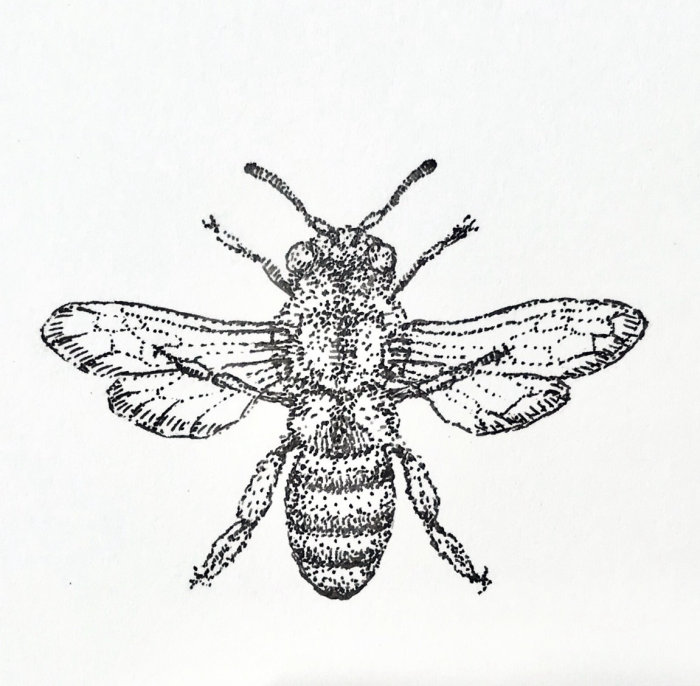 蜜蝋軟膏会社のためのミツバチの描画
