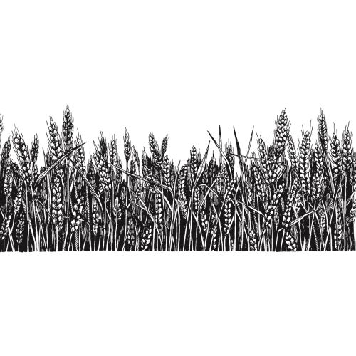 Grain farming black sketch illustration