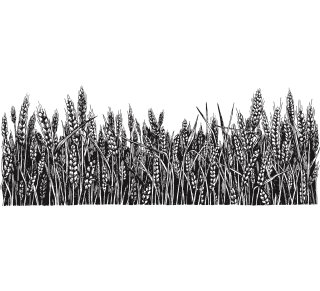 Ilustración de dibujo negro de cultivo de cereales