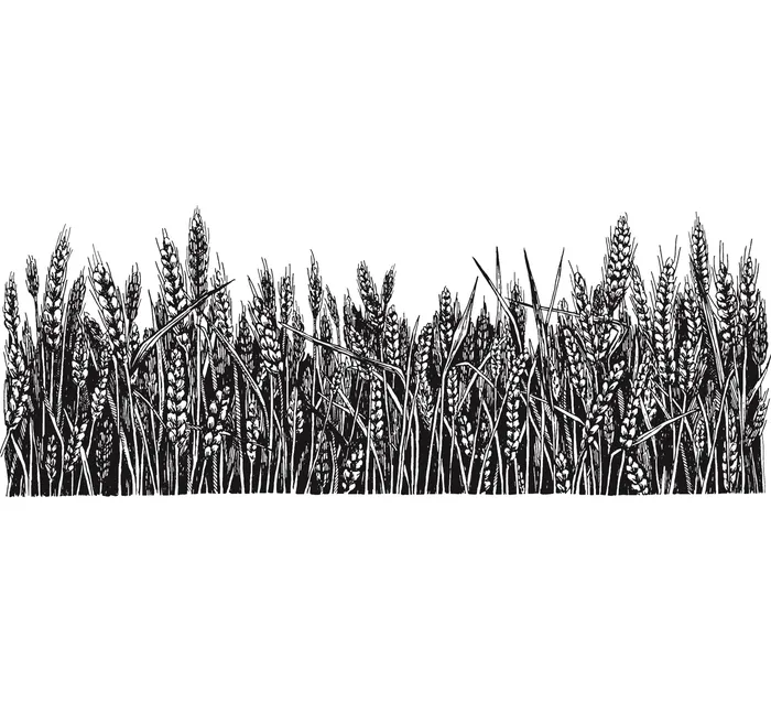 Grain farming black sketch illustration