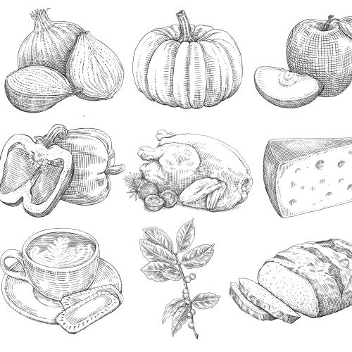 Sketches of vegetables, fruit, chicken, cheese, and bread by August Lamm