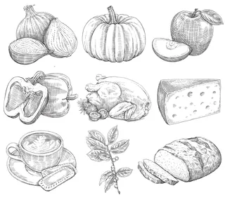 Sketches of vegetables, fruit, chicken, cheese, and bread by August Lamm