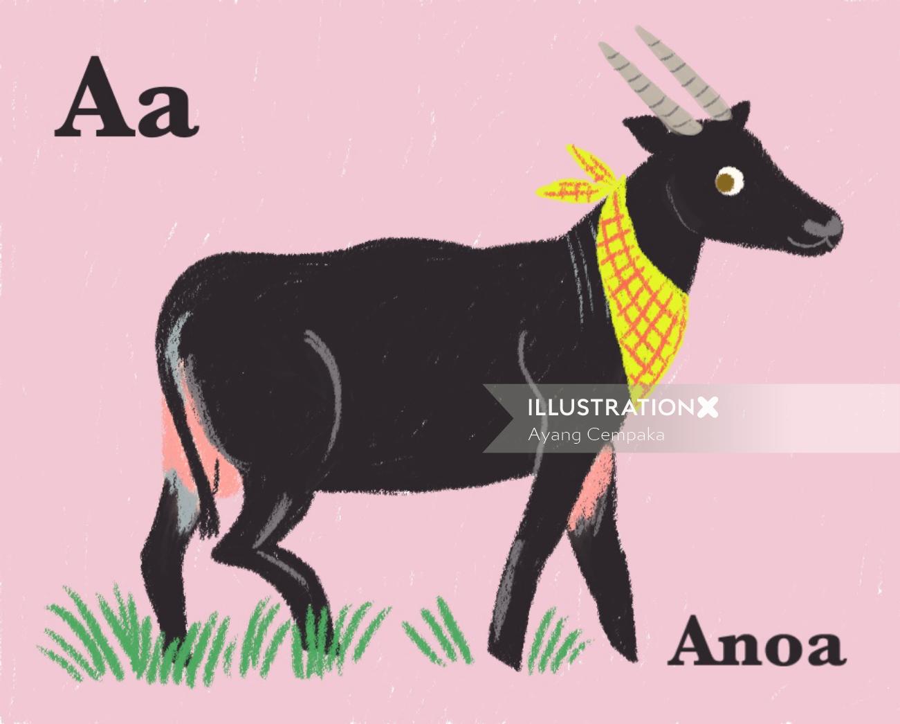 Illustration animale enfants Anoa