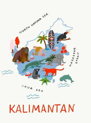 Cartes Kalimantan
