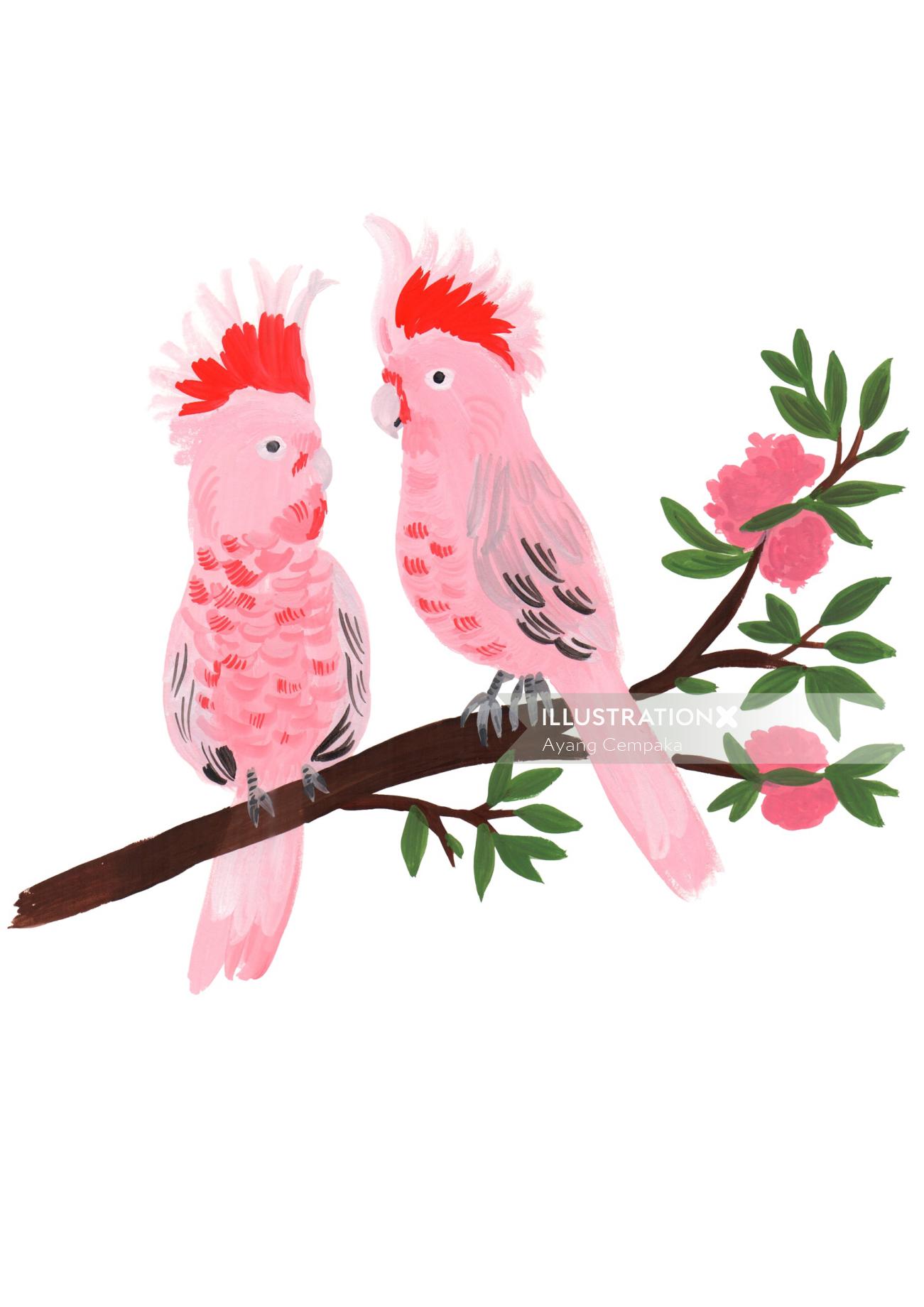 Animaux Oiseaux roses colorés