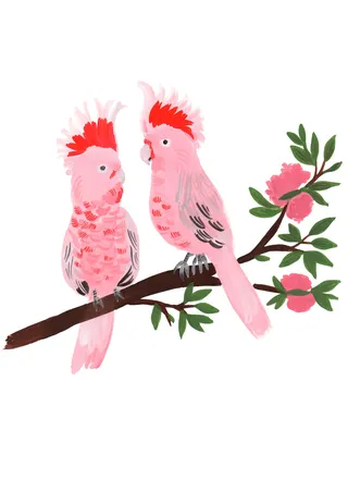 Animaux Oiseaux roses colorés
