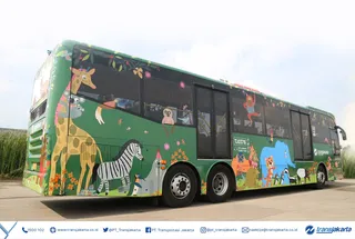 Animals graphic on bus
