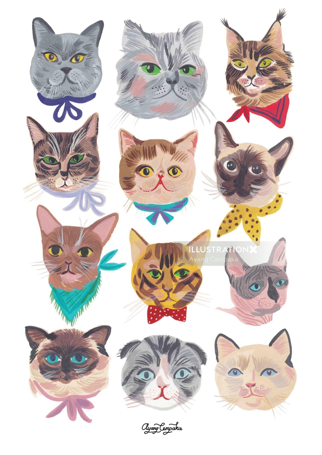 Animal different cat faces
