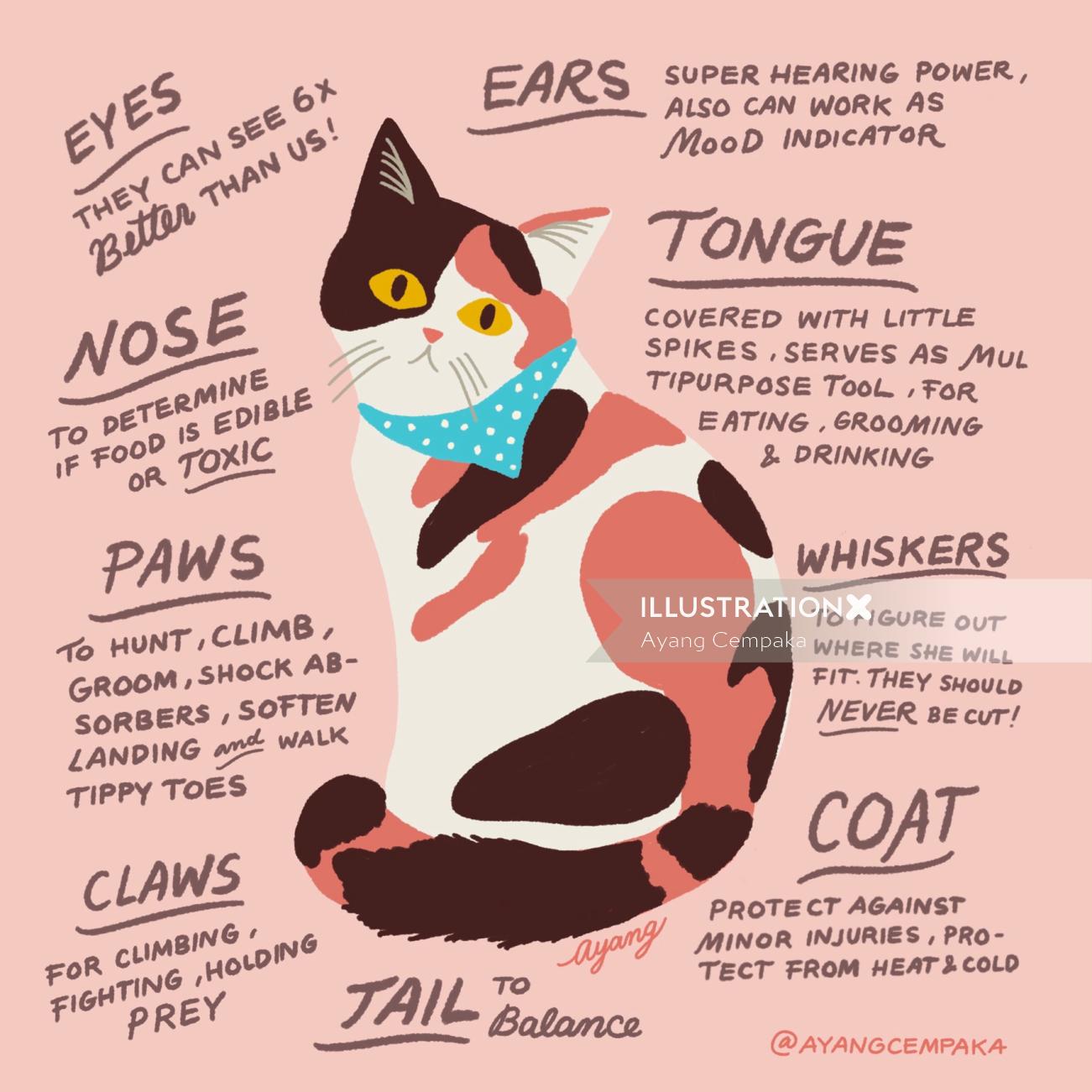 Description du chat des animaux