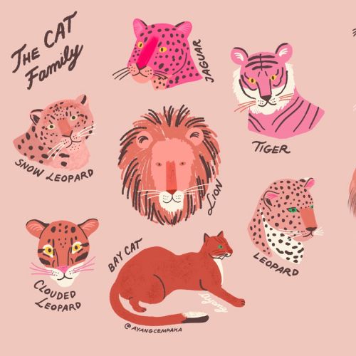 Animals the cat family
