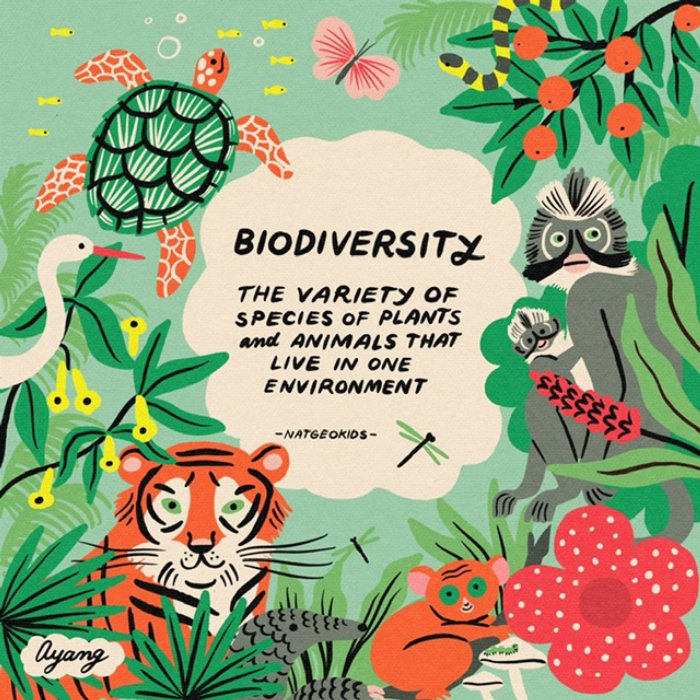 Flyer graphique Bioversité
