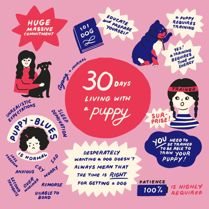 “与小狗一起生活的 30 天”书籍插图