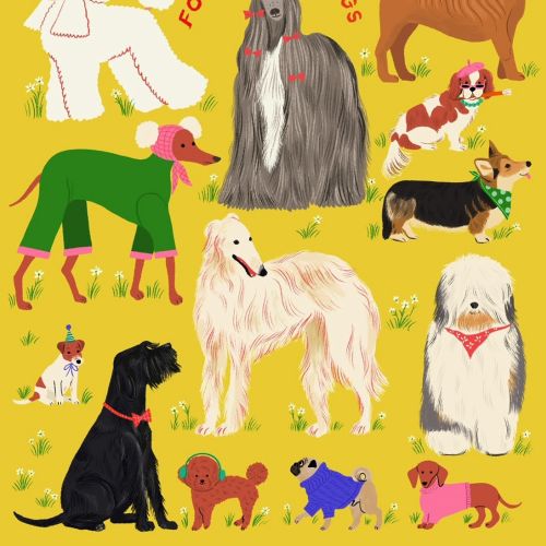 Colorful dog breeds illustration by Ayang Cempaka on yellow background
