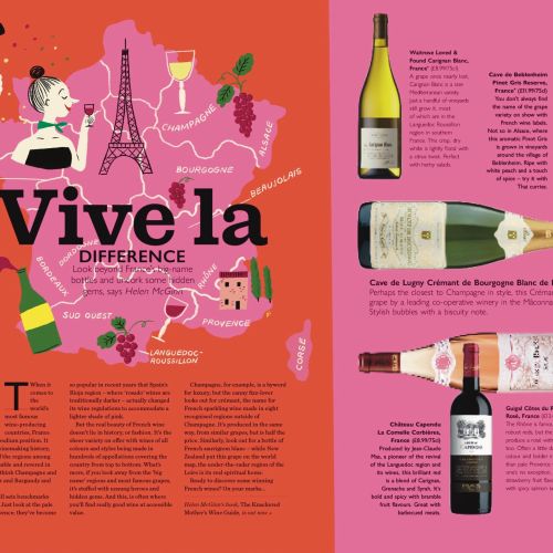 French wine guide with map, bottles, and tasting notes illustration
