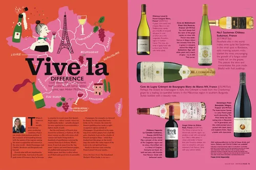 French wine guide with map, bottles, and tasting notes illustration