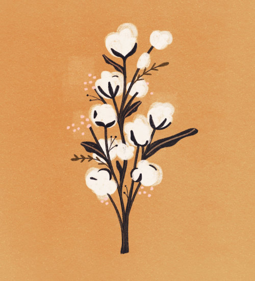 White cherry blossom tree nature illustration