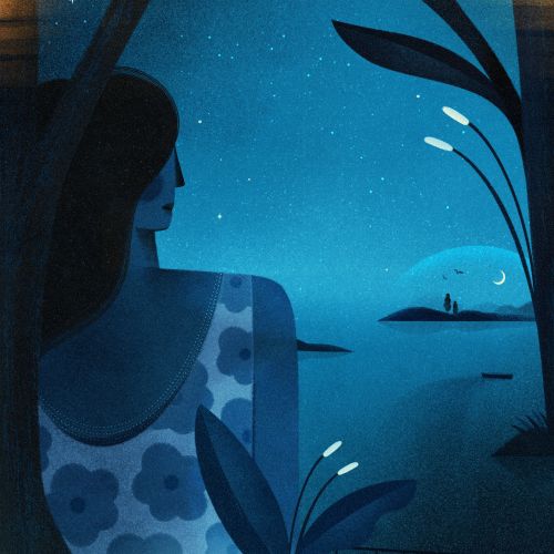 Barbara Tamilin Book Covers Illustrator from Brazil