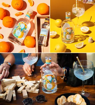 Islands gin bottle with oranges, lemons, and cocktails by Barbara Tamilin