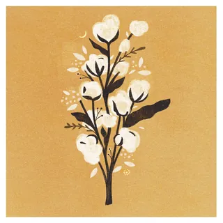 Cotton plant illustration with white cotton bolls on beige background