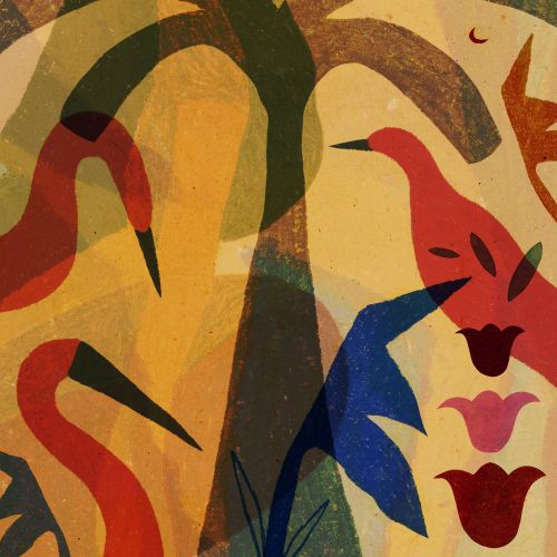 Barbara Tamilin Nature Illustrator from Brazil