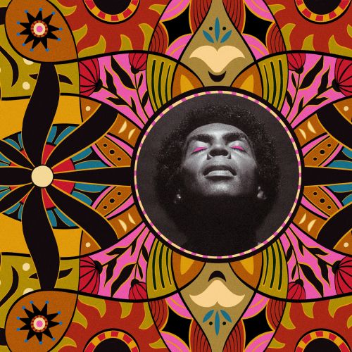 Barbara Tamilin artwork featuring a monochrome portrait in a colorful symmetrical floral pattern