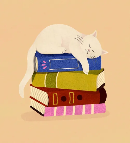 Illustration par Barbara Tamilin d'un chat blanc endormi sur des livres colorés