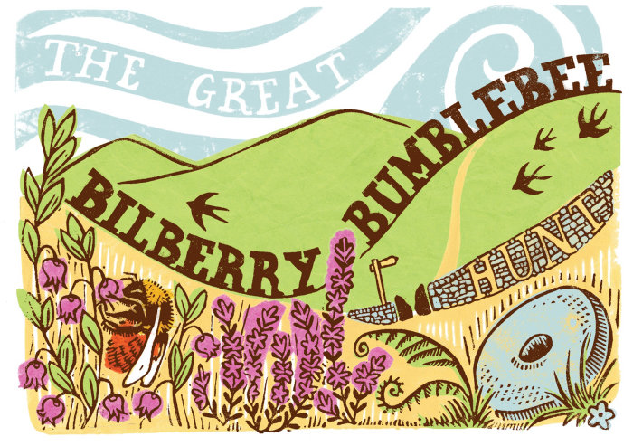 Design da capa do livreto &quot;Great Bilberry Bumblebee Hunt in the Peak District&quot;