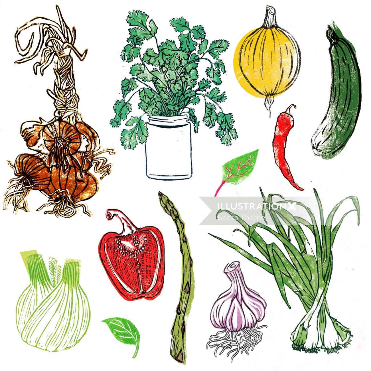 Selection of linocut vegetable illustrations: A string of brown onions, jar of coriander, round yell