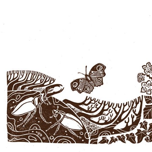 Black and white sketch portrays vibrant hedgerow life