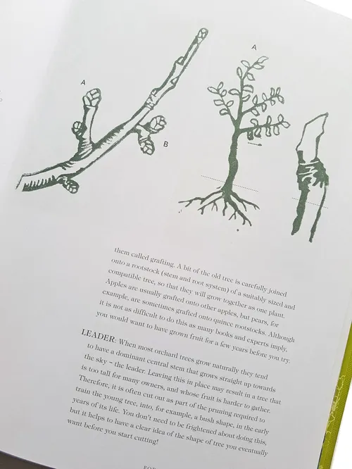 Aufwendige Holzschnittkunst von keimenden Bäumen und Veredelung