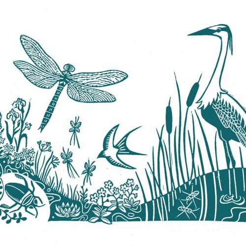 Single colour landscape illustration showing pond plants and animals , including frogs and toads, ra