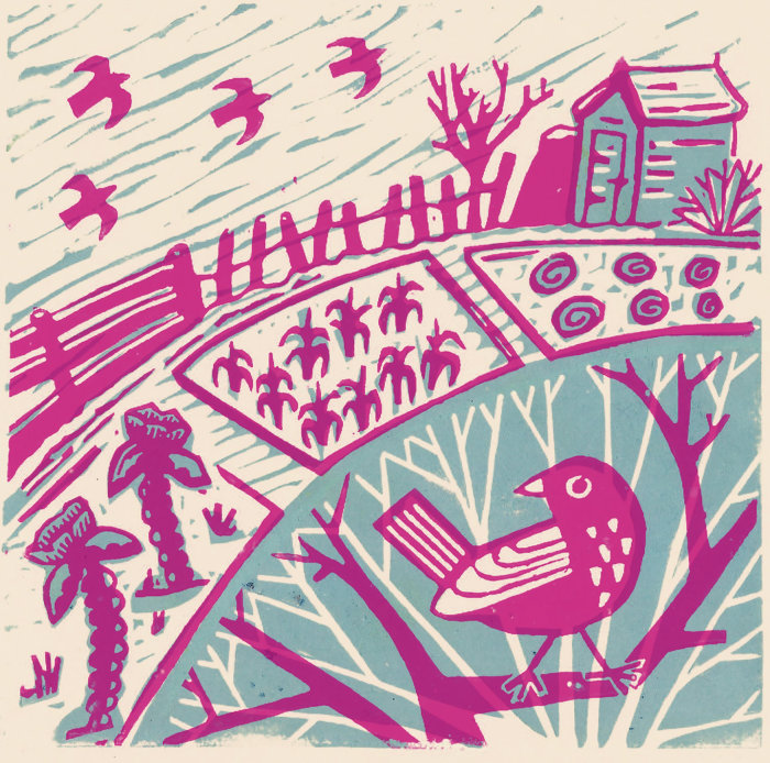 Pink and blue illustration of an allotment in winter, with a bird in a wintry tree in the foreground