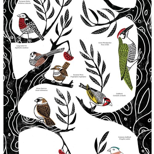A poster style image showing various UK garden birds on the decorative branches of a tree.