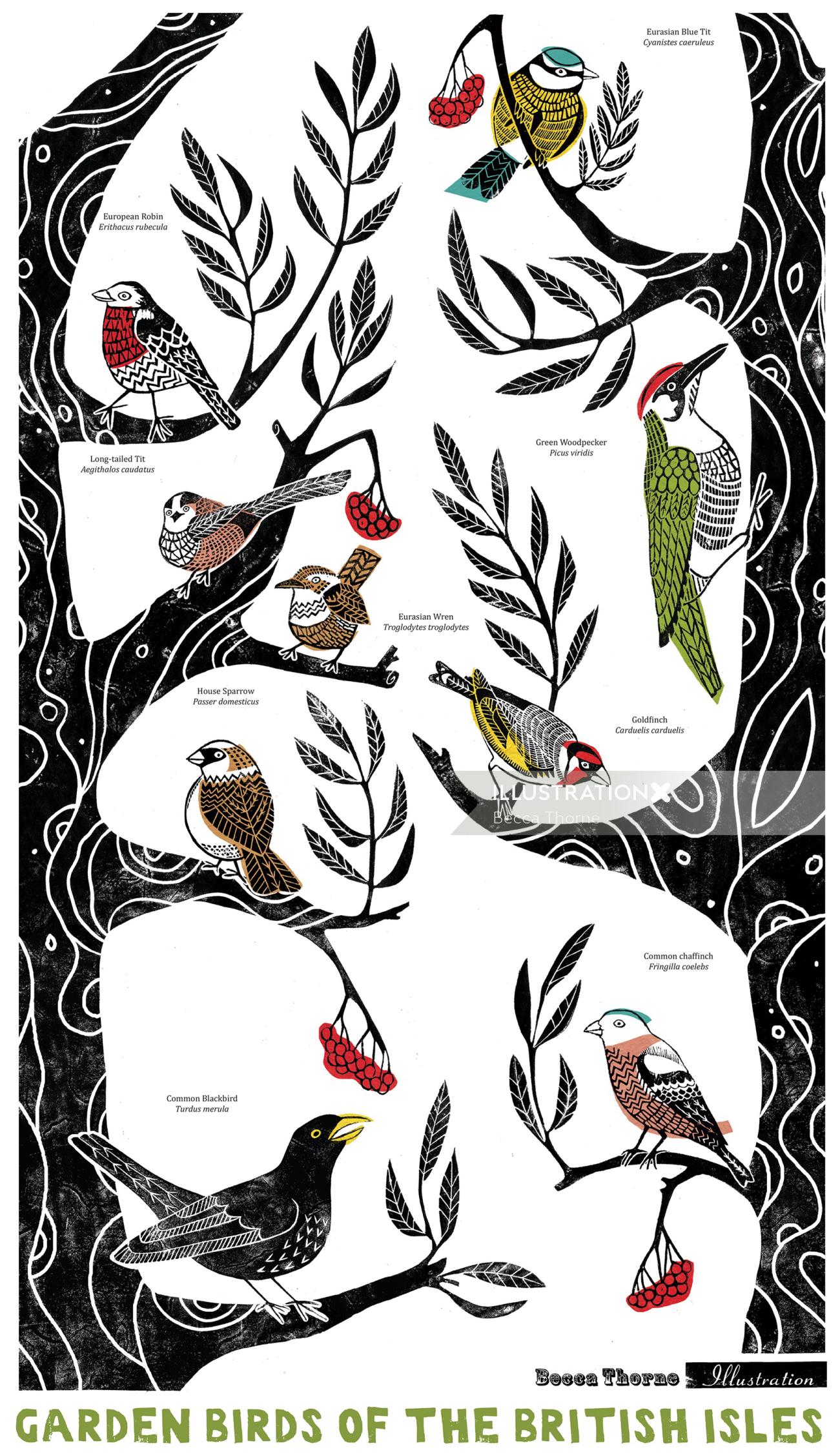木の装飾的な枝にさまざまな英国の庭の鳥を示すポスター スタイルのイメージ。