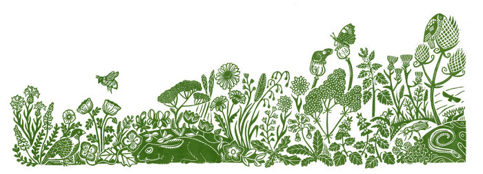 Single colour landscape illustration showing plants and animals of the field margin, including partr