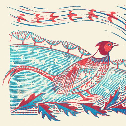 A red and blue linocut illustration of a male pheasant standing in a wintry field, with holly in the