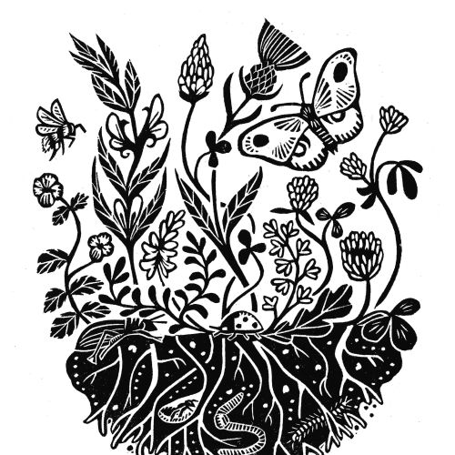 Black and white linocut of beneficial wild plants