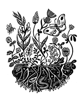 Black and white linocut of beneficial wild plants