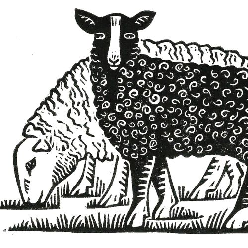 Linocut representation of two sheep